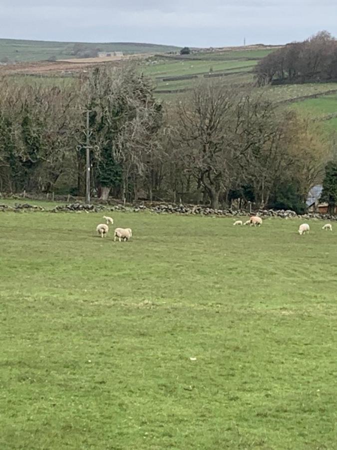 Church Gate Farm